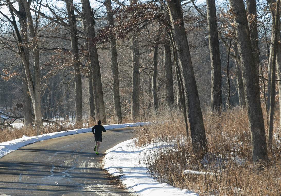 Explore | The Morton Arboretum