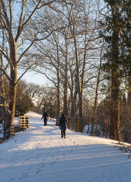 The Morton Arboretum | To Plant And Protect Trees For A Greener ...