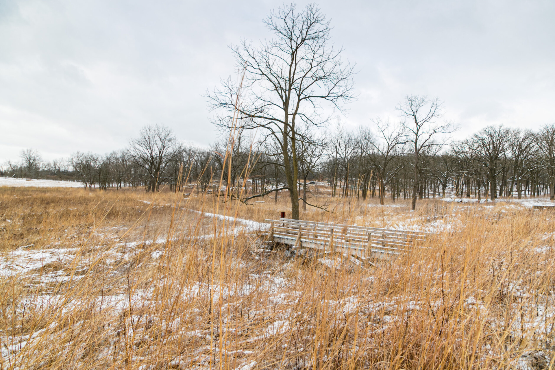 The prairie with a light coating of snow in the winter.