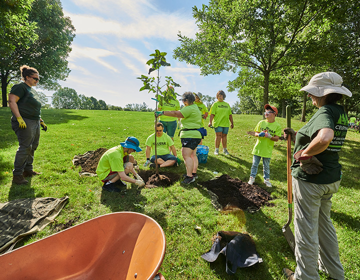 SEASPAR and CRTI plant trees in a park in Downers Grove