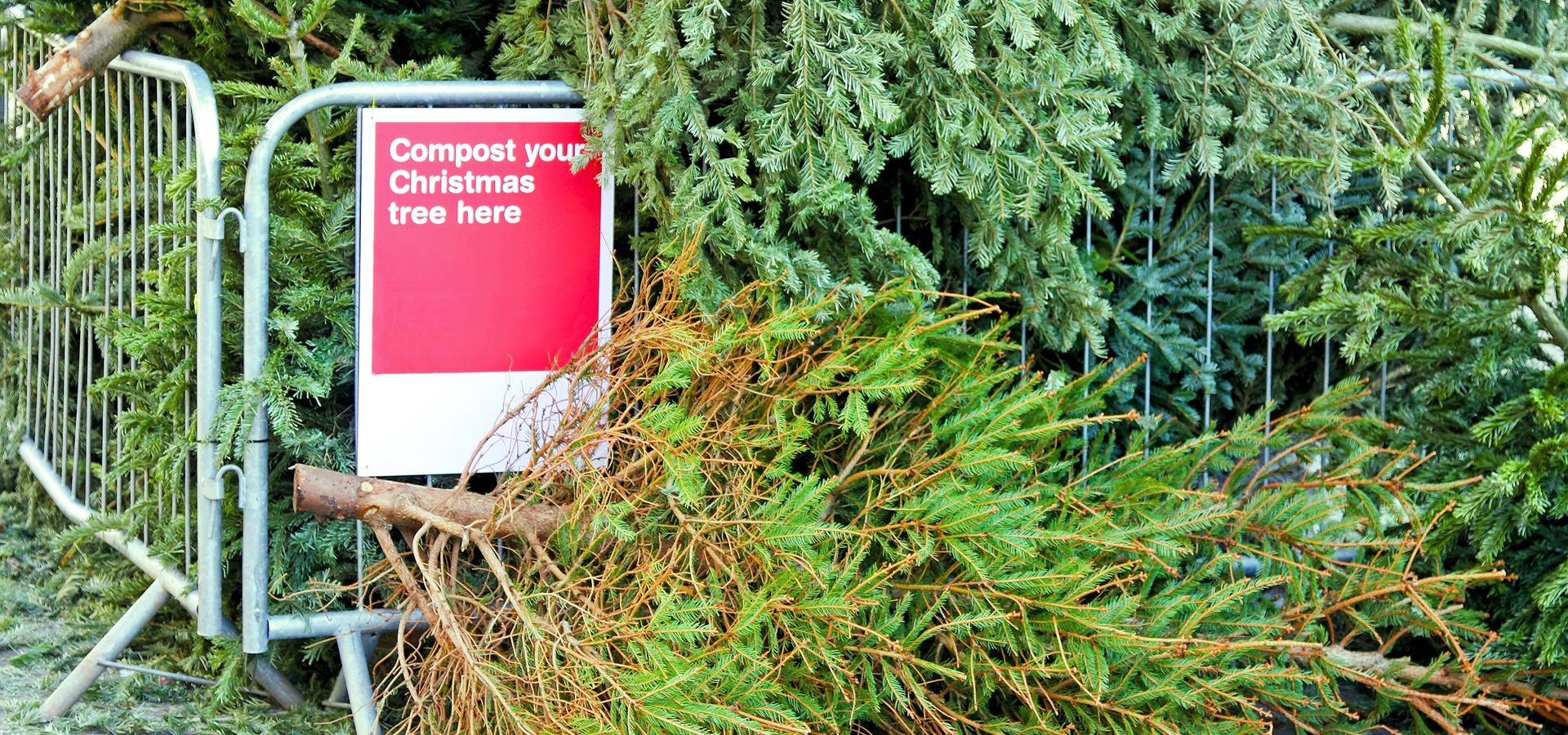 Christmas trees compost drop off location