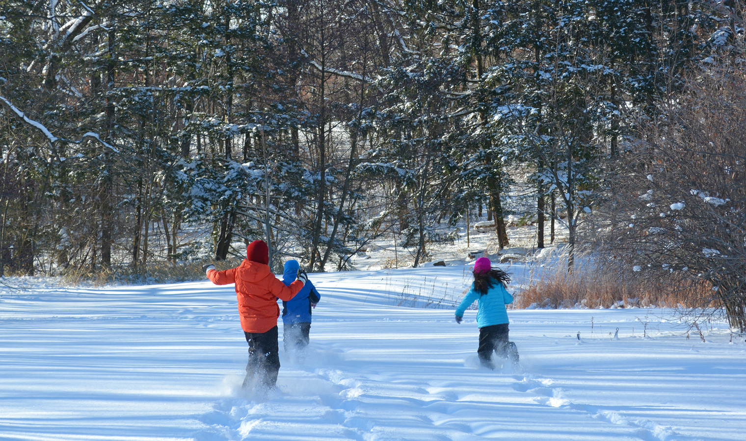 Children playing in the snow at the Arboretum in Winter