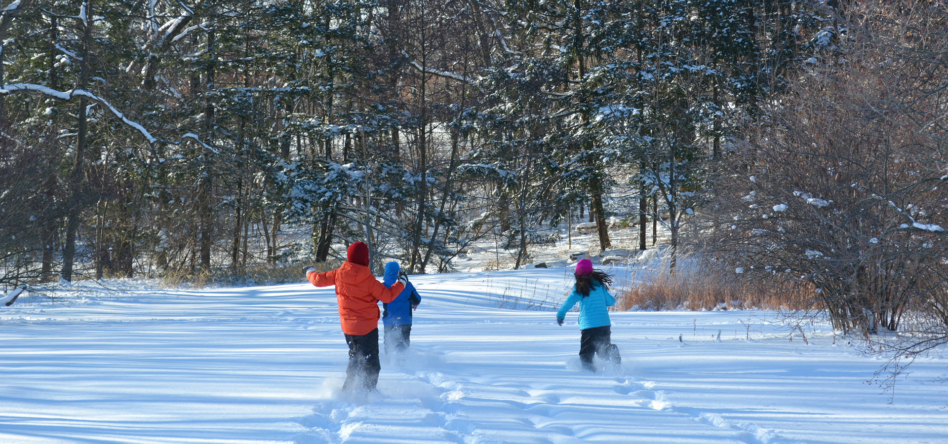 Children playing in the snow at the Arboretum in Winter