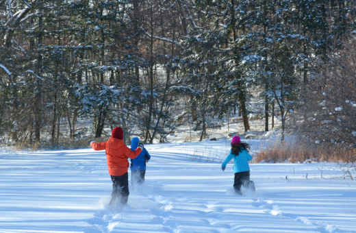 Children playing in the snow at the Arboretum in Winter