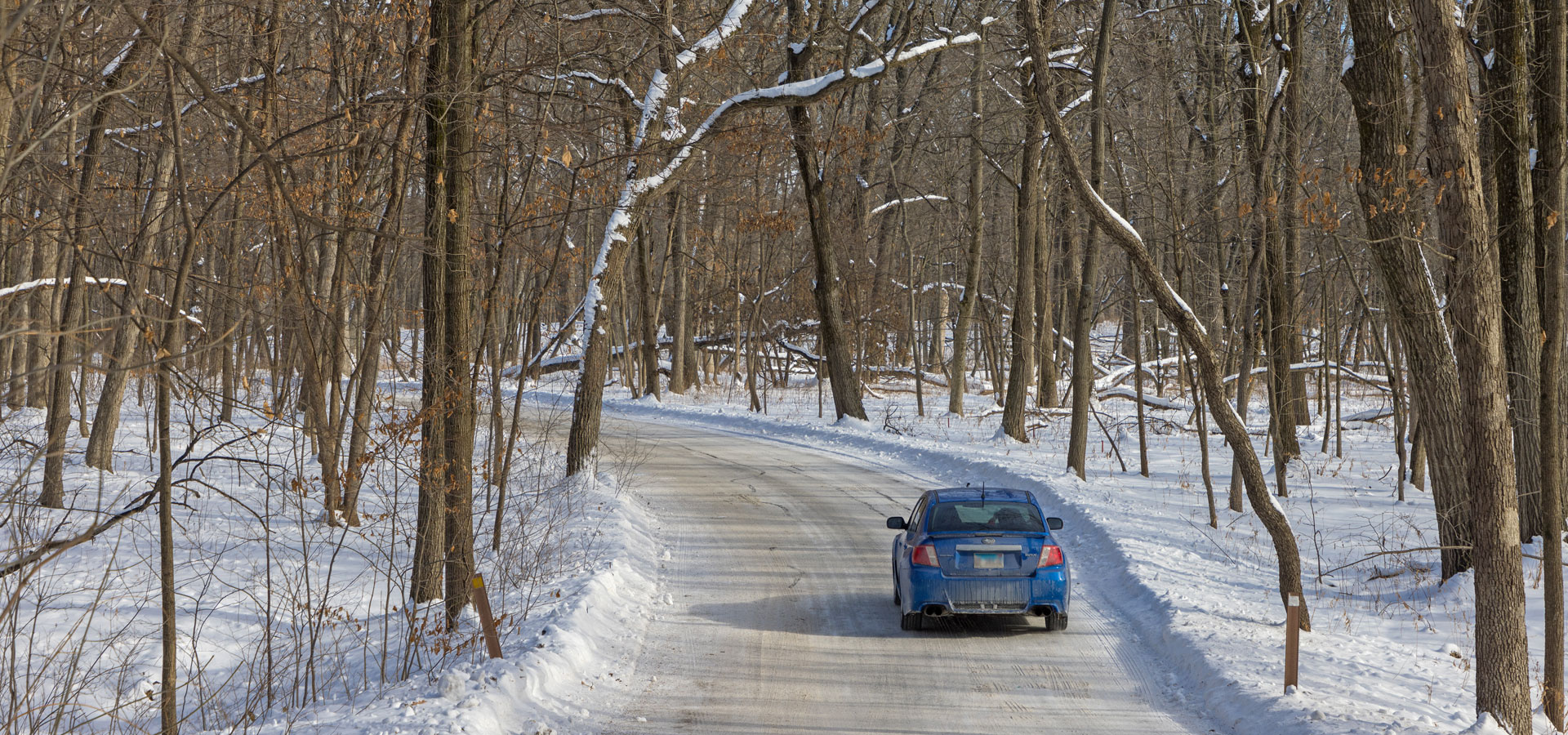Car driving through the Arboretum during winter