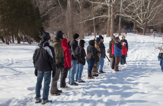 The Morton Arboretum