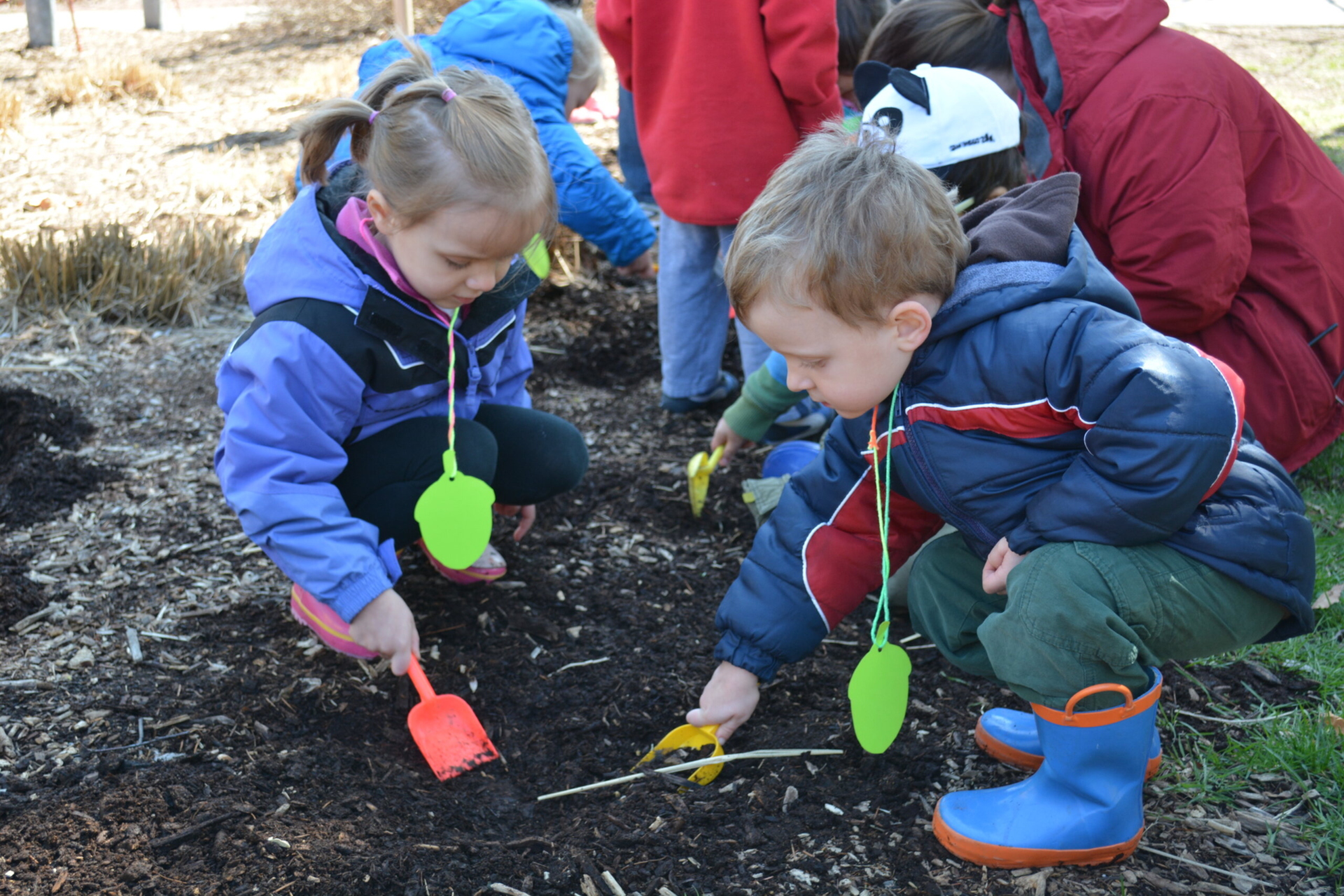 Kids digging in the dirt to plant seeds in the Children's Garden in spring.