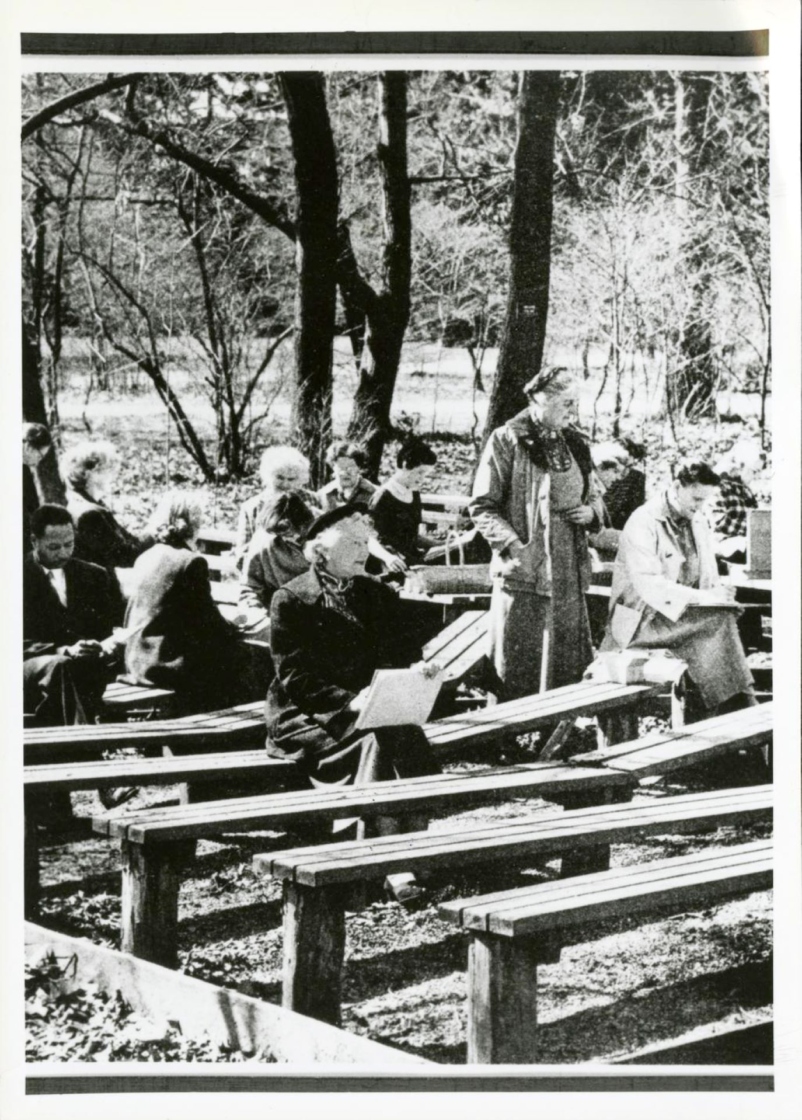 The Morton Arboretum