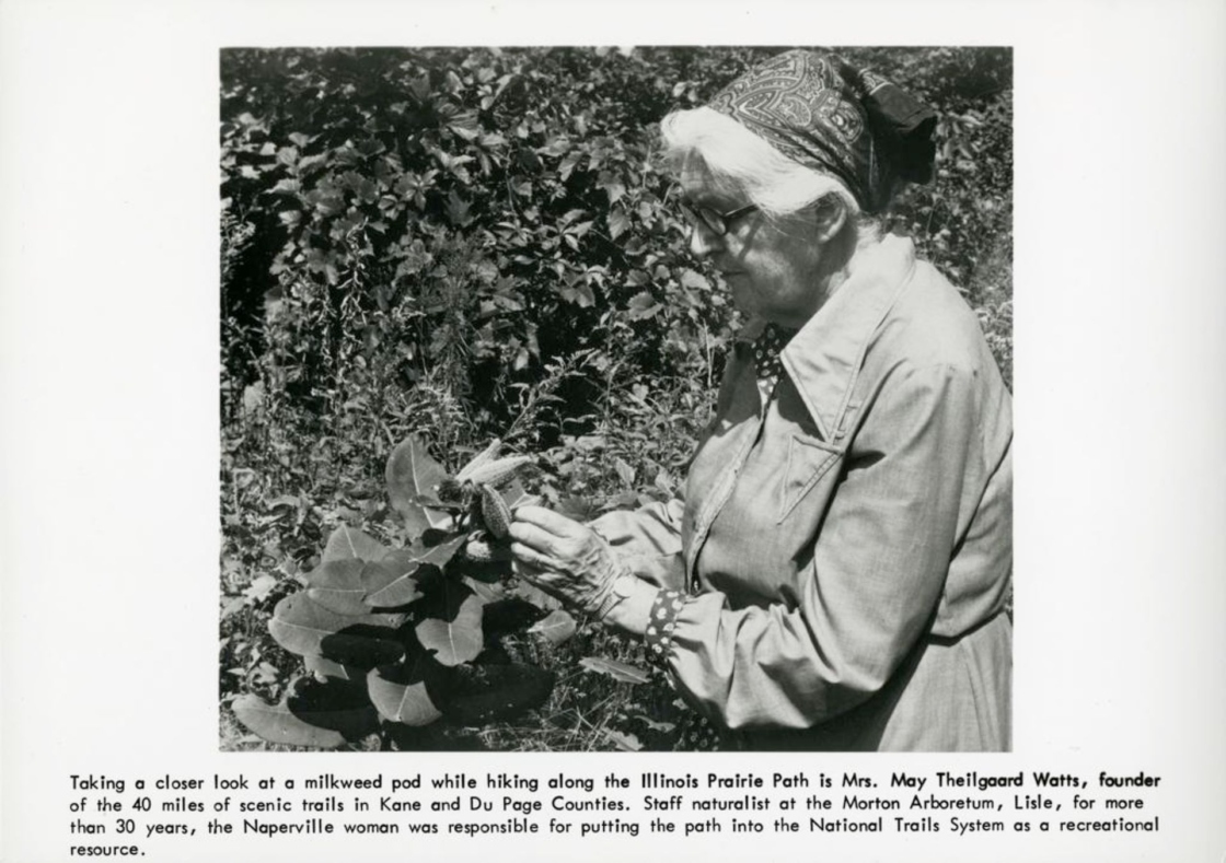 The Morton Arboretum