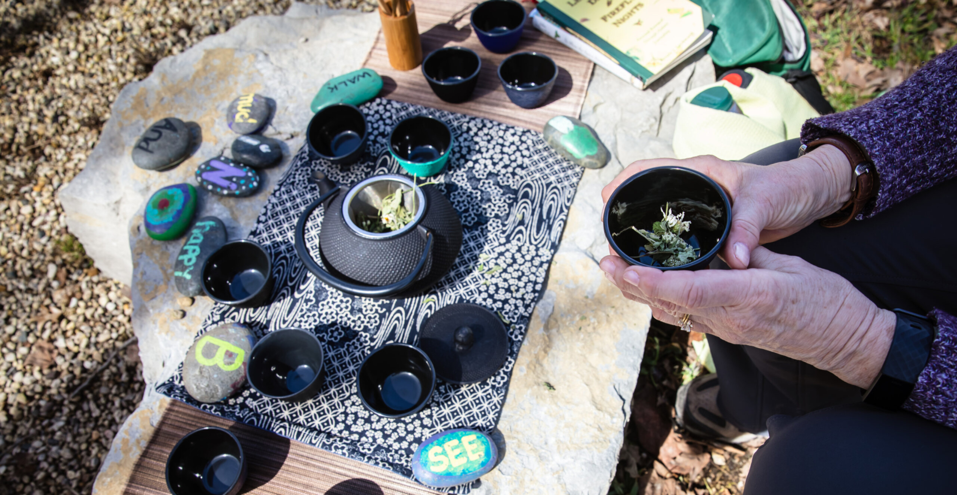 A tea ceremony set up in the middle of the woods during a forest therapy walk.
