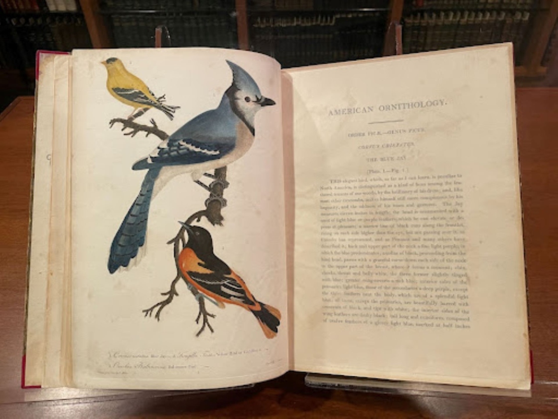 The Morton Arboretum