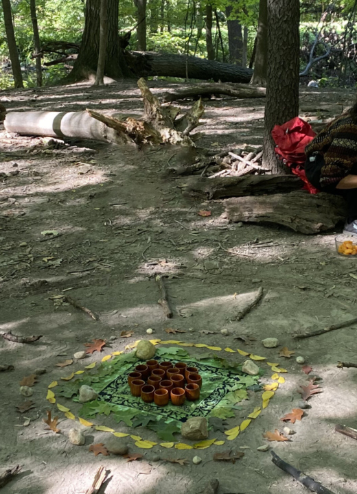 A tea ceremony set up in the middle of the woods during a forest therapy walk.