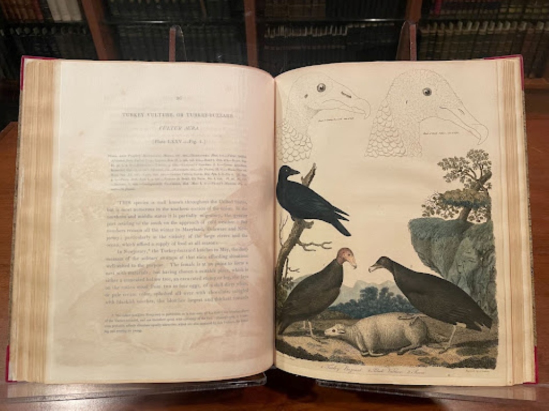 The Morton Arboretum