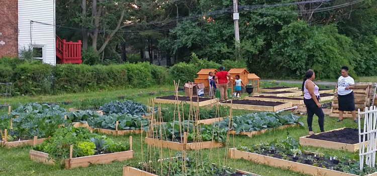 The Morton Arboretum