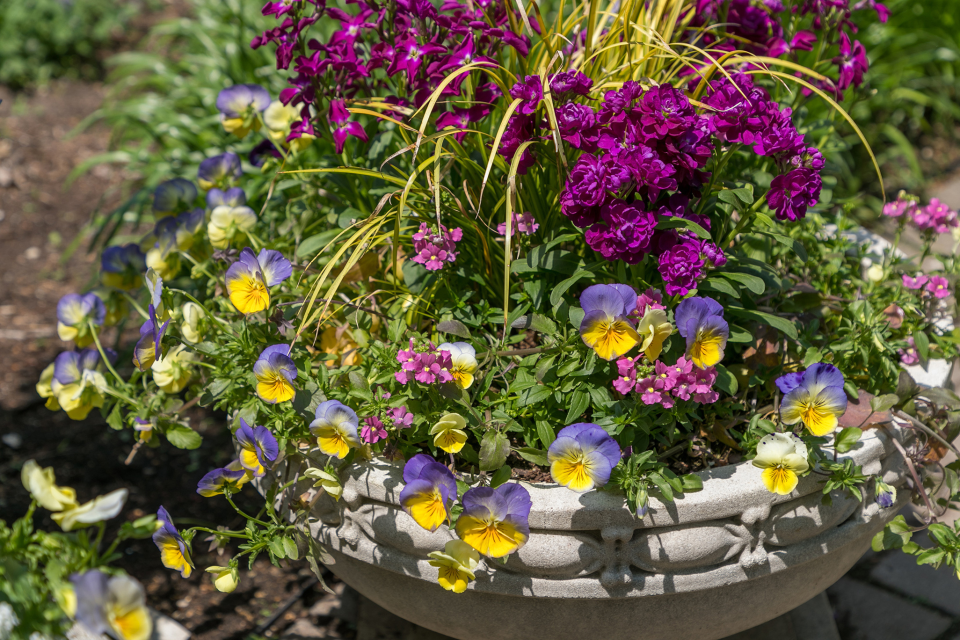 A container garden overflowing with colorful flowers and foliage
