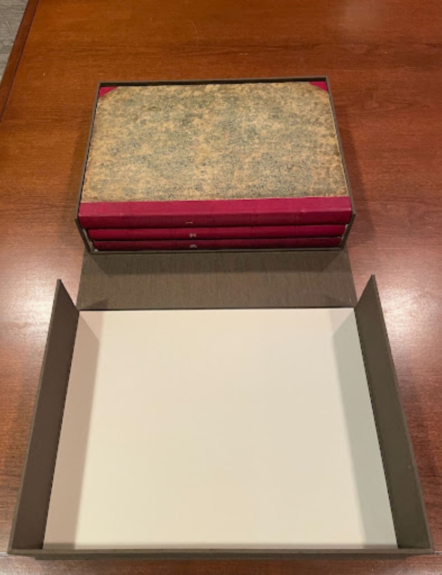 The Morton Arboretum