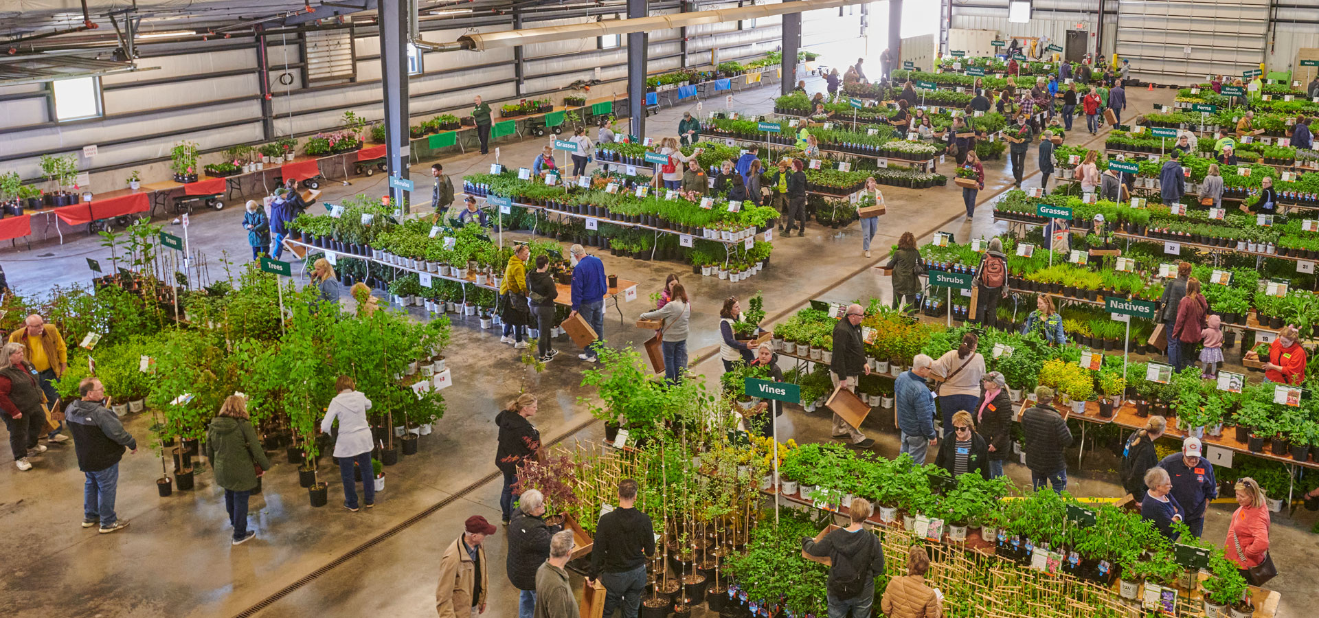 Arbor Day Plant Sale | The Morton Arboretum