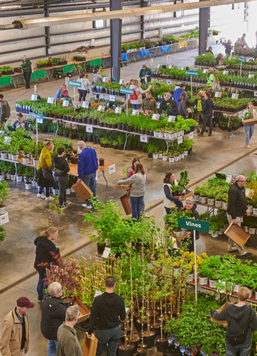 The Morton Arboretum To plant and protect trees for a greener