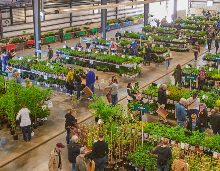 Arbor Day plant sale showing a vast array of options for spring plantings