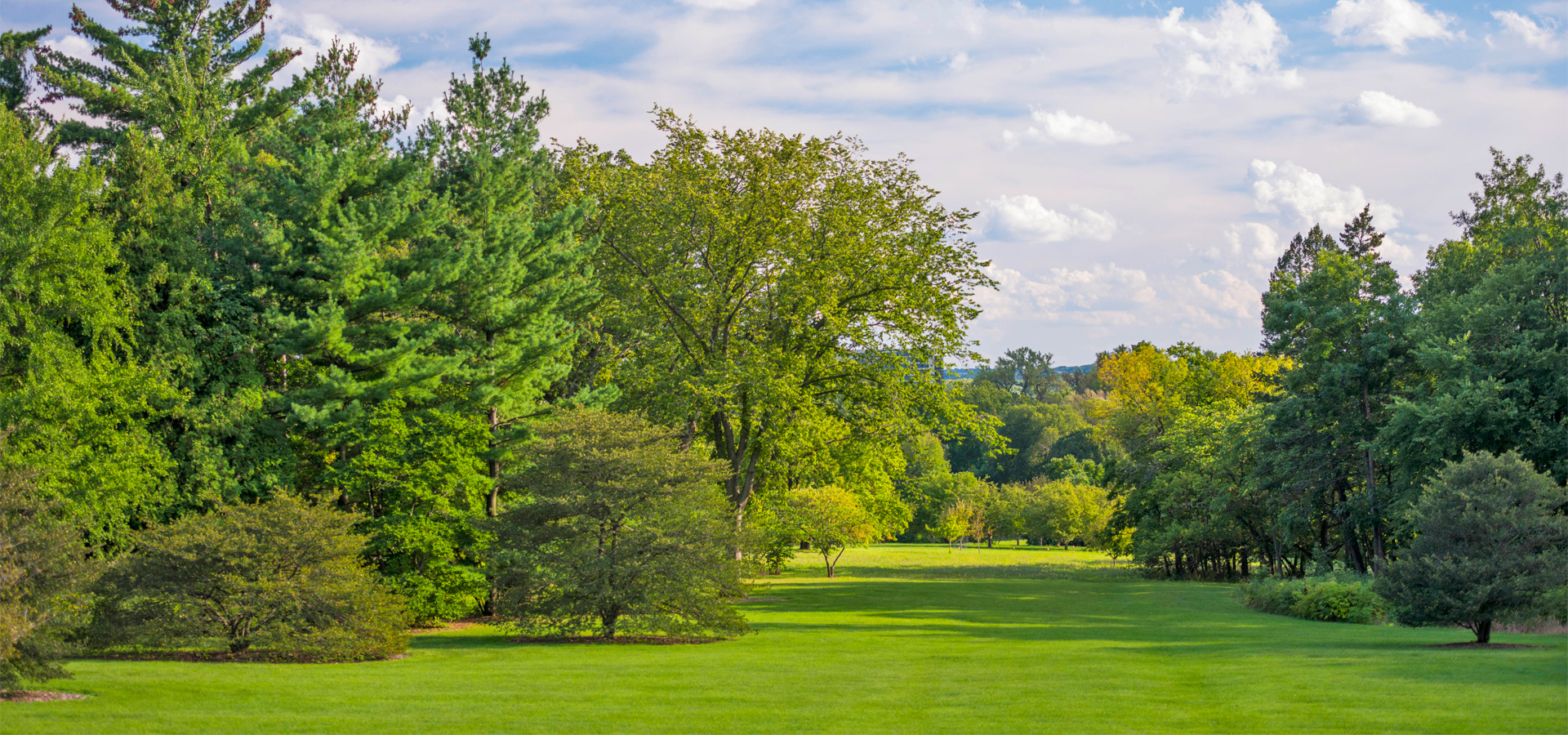 Join And Support The Morton Arboretum