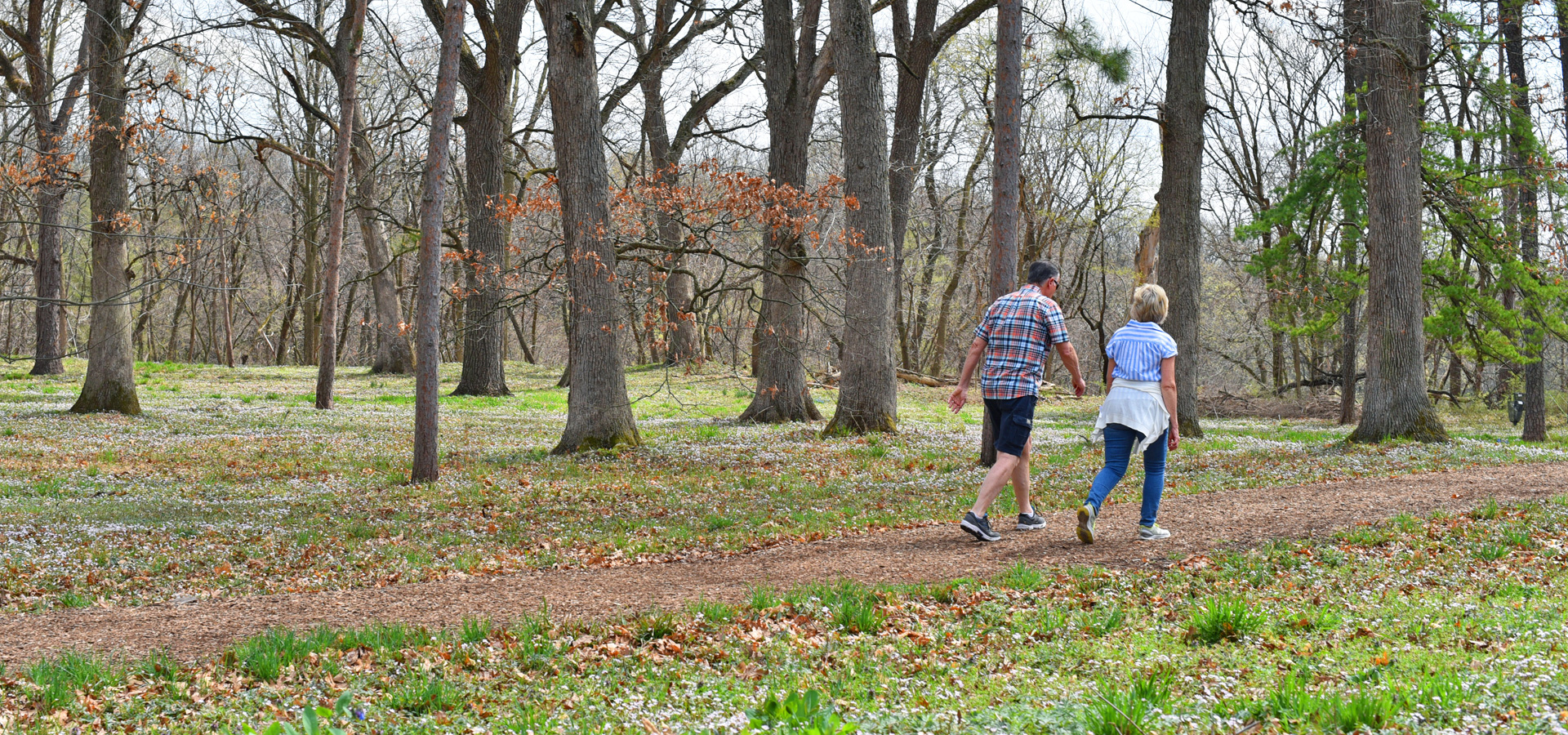 The Morton Arboretum | To Plant And Protect Trees For A Greener ...