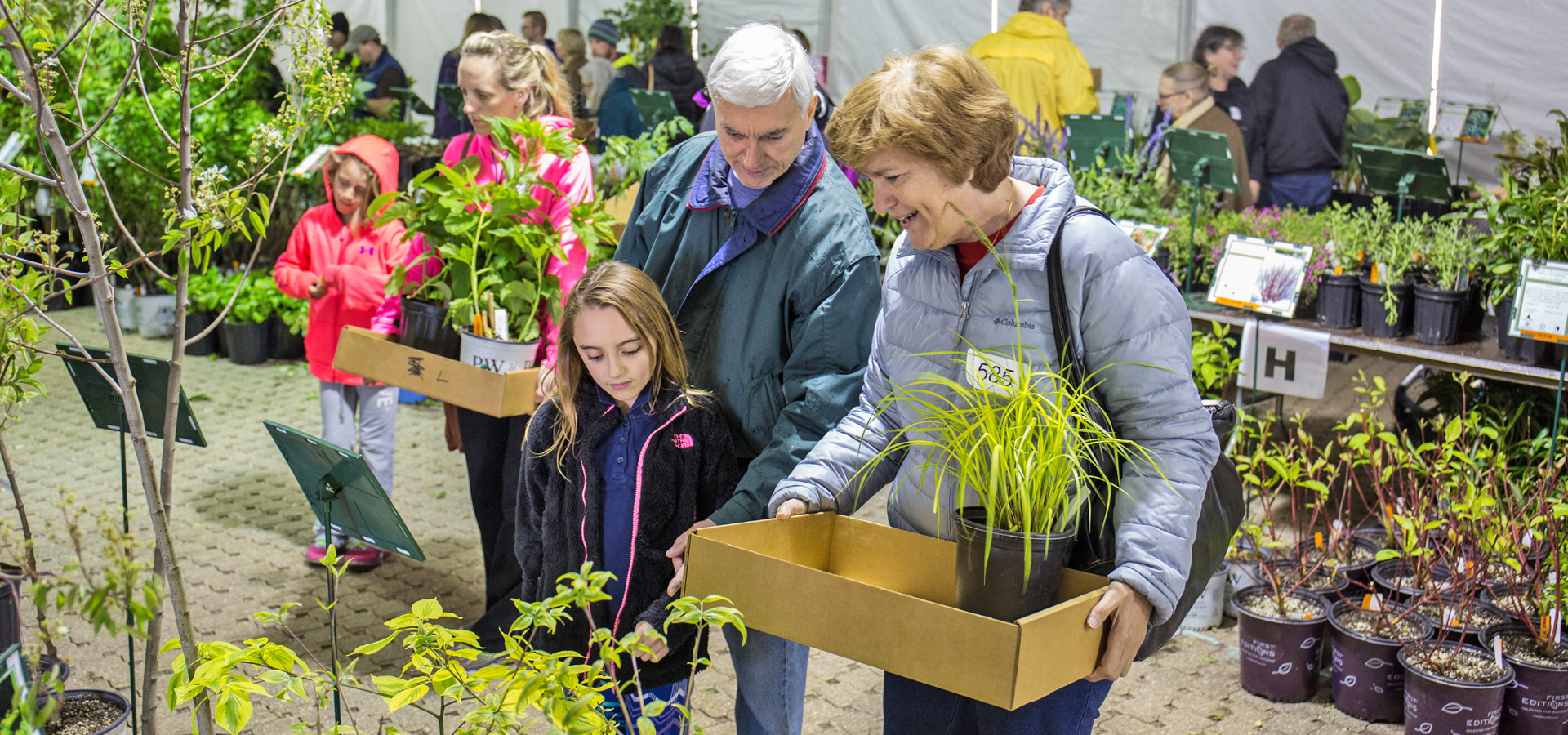Guests choose plants from the Arbor Day Plant Sale at The Morton Arboretum