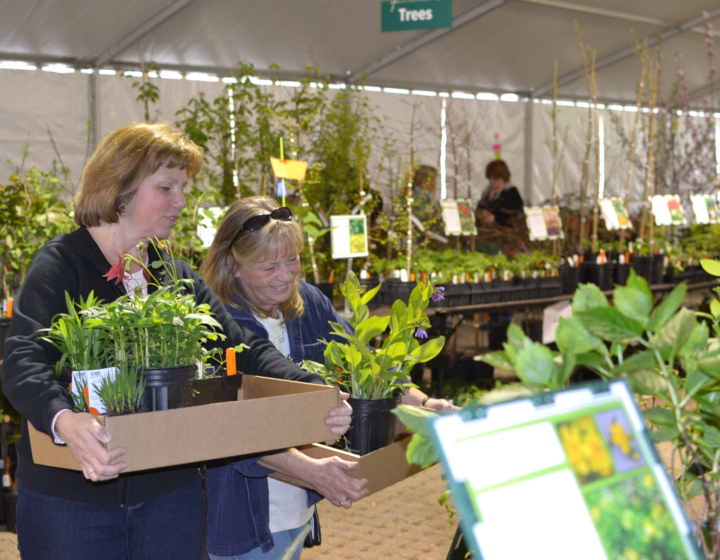 Members choose plants from the Arbor Day plant sale