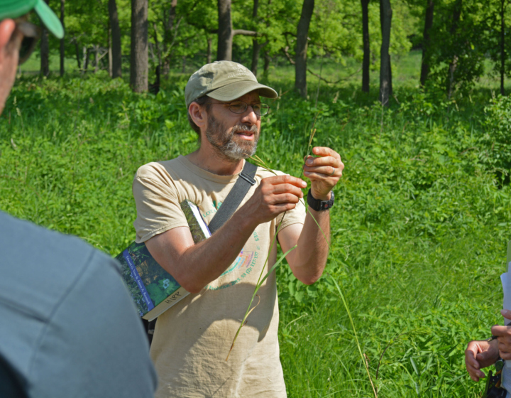 Scientist teaches volunteer stewards about sedges in the prairie