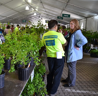 Photograph of plant sale customer talking with Plant Genius near a display of plants for sale