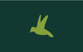 Attracts Birds Icon