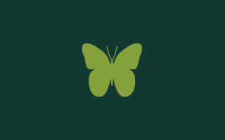 Attracts Butterflies Icon