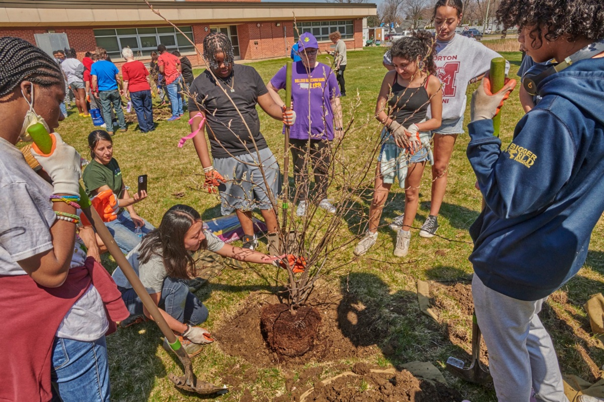 Photograph of tree planting event at John R. Lewis Middle School in Waukegan, Illinois