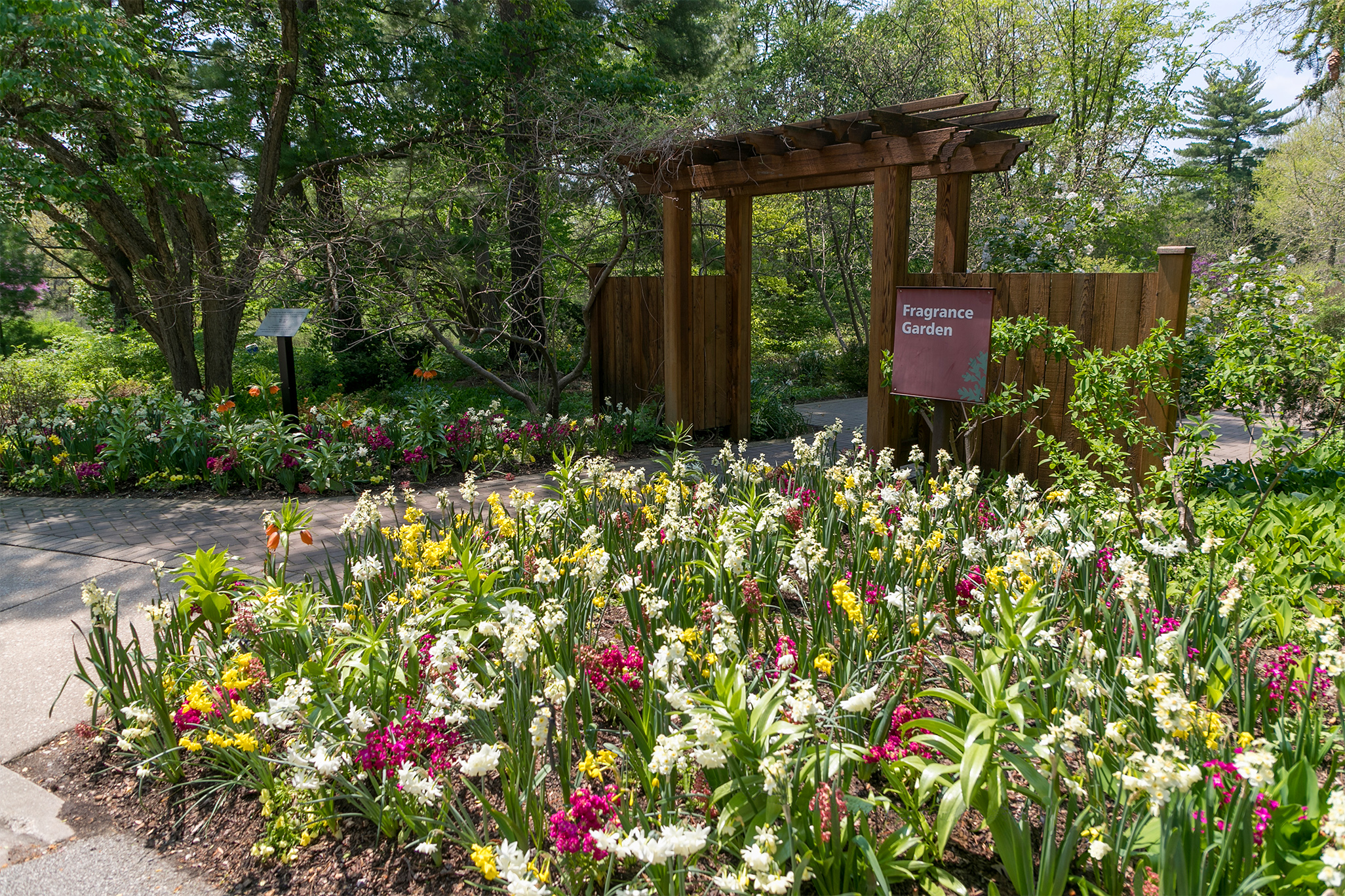 Entrance to the Fragrance Garden on the west side, framed by blooming spring perennials.