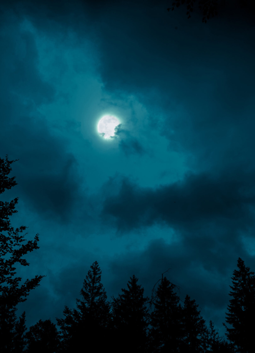 Night sky image looking up through the trees, the moon shines partially covered by clouds.