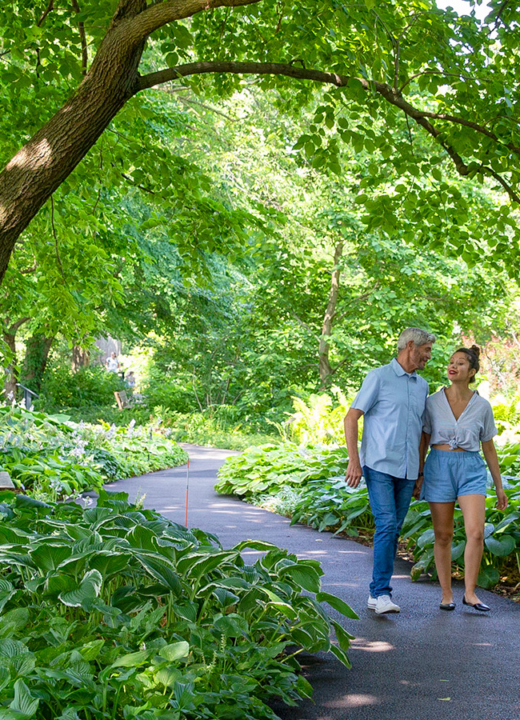 explore-the-morton-arboretum