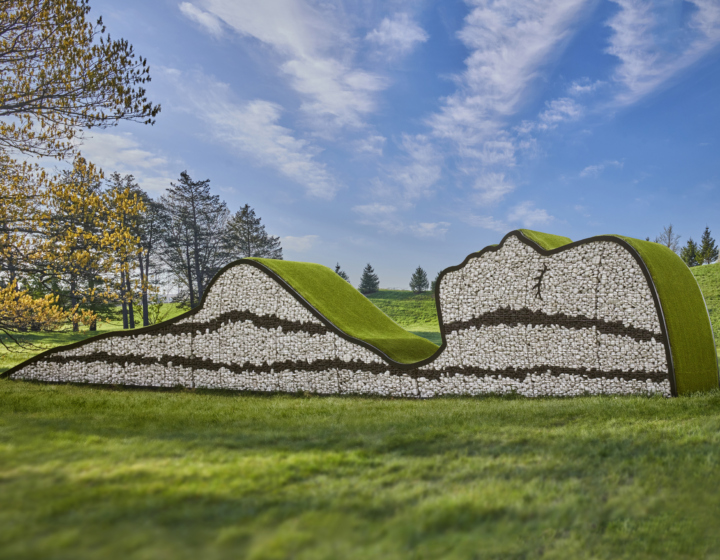 The Morton Arboretum