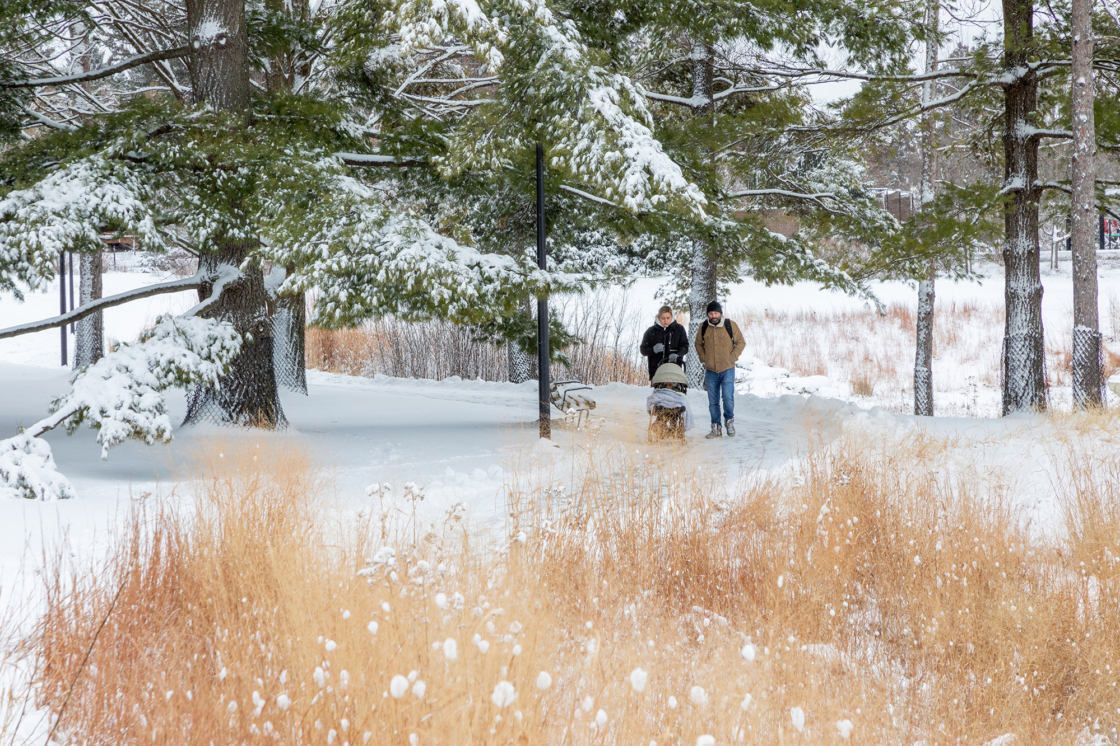 A family walks with a stroller in winter around Meadow Lake
