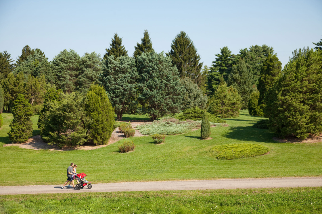 A family walks near the Conifer Trail in summer with a stroller