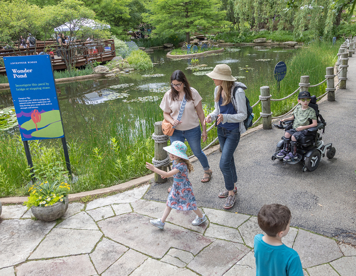 A boy uses an electric wheel chair on a paved path through the Children's Garden with his family