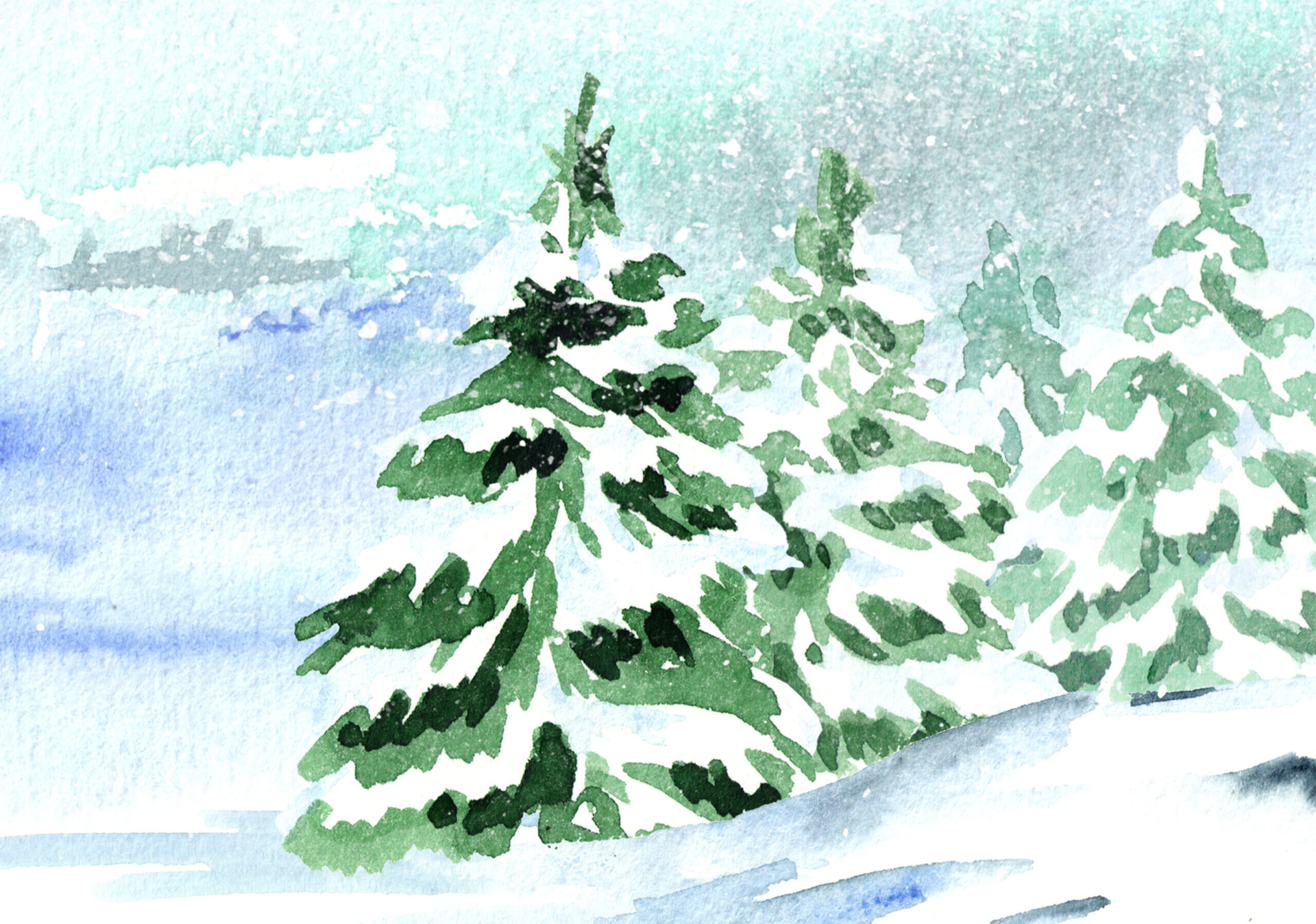 Watercolor painting of conifer trees covered in snow