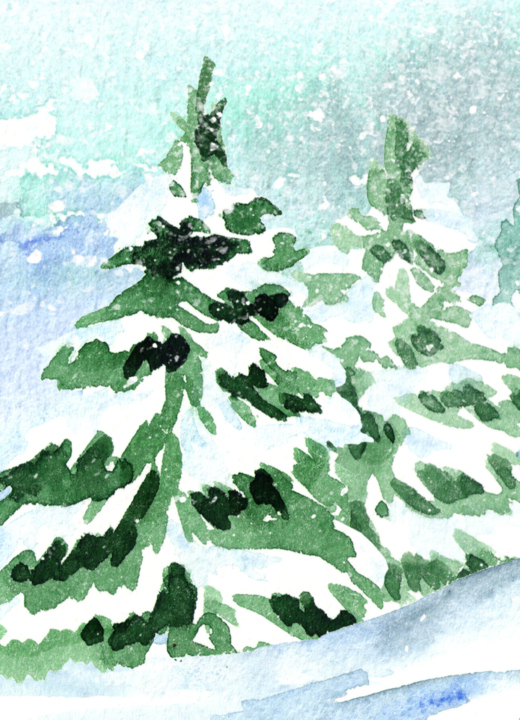 Watercolor painting of conifer trees covered in snow