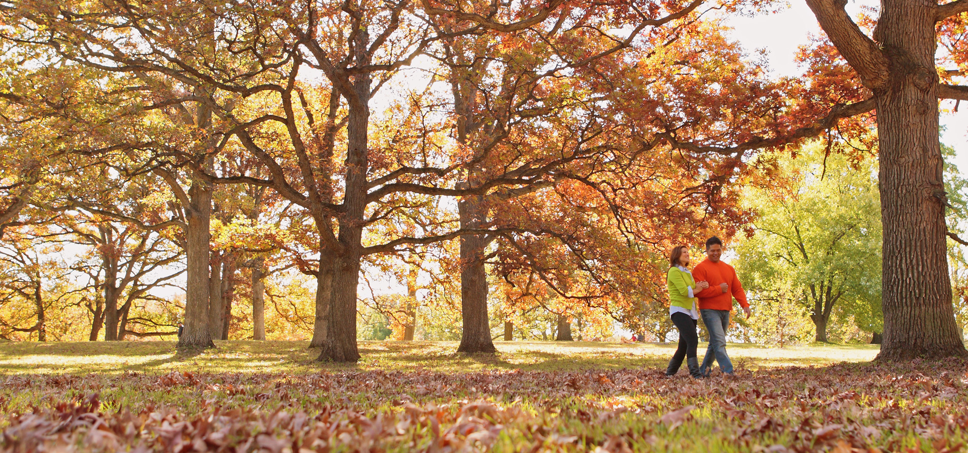 A couple walk among the oaks in fall