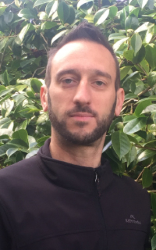 The Morton Arboretum