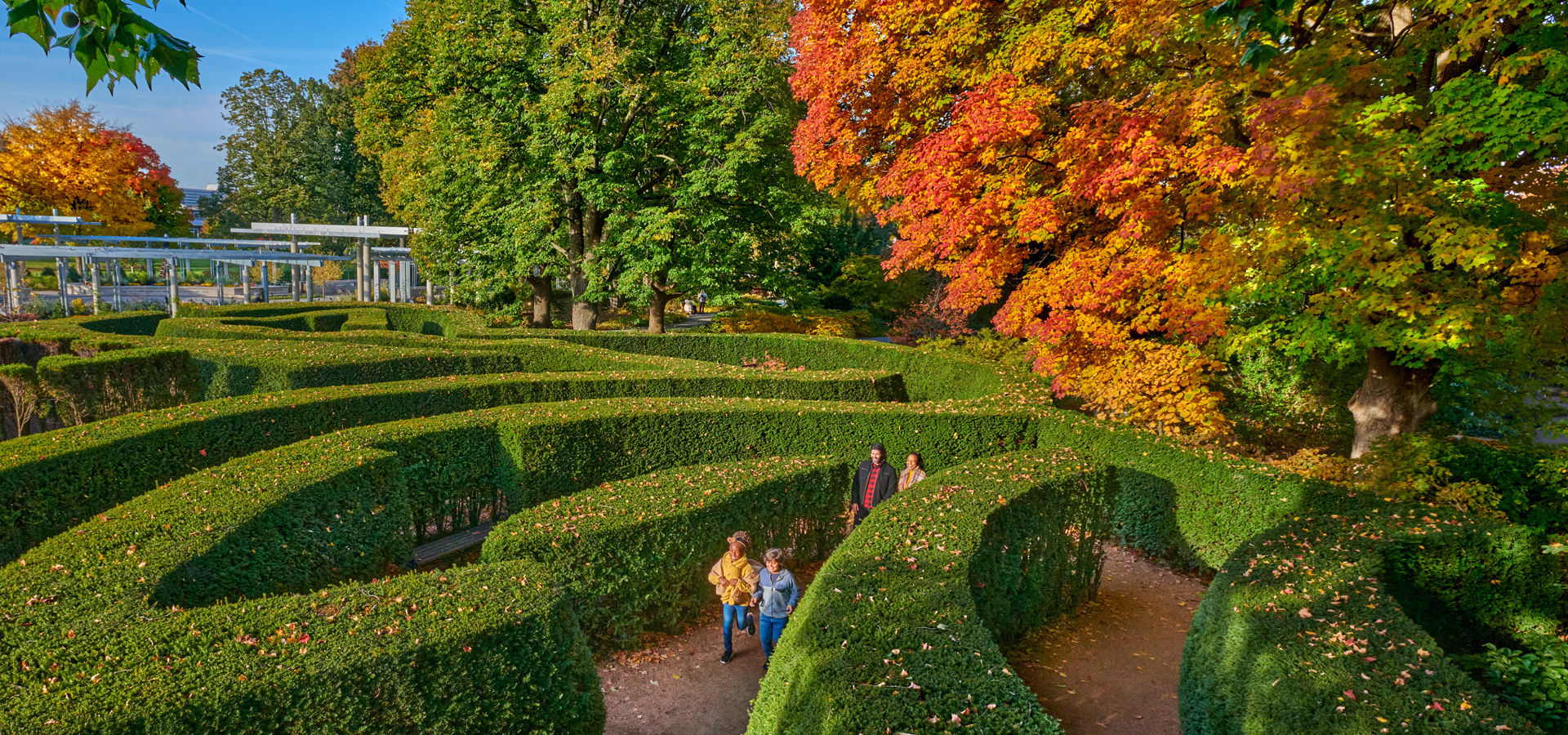 A family explores the maze garden among the bright orange fall leaves