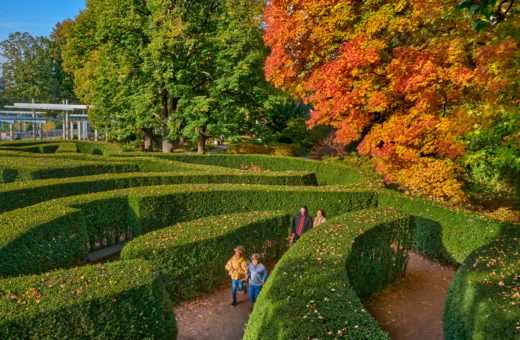 A family explores the maze garden among the bright orange fall leaves