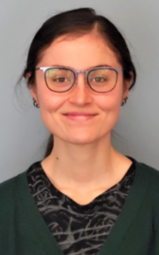 The Morton Arboretum