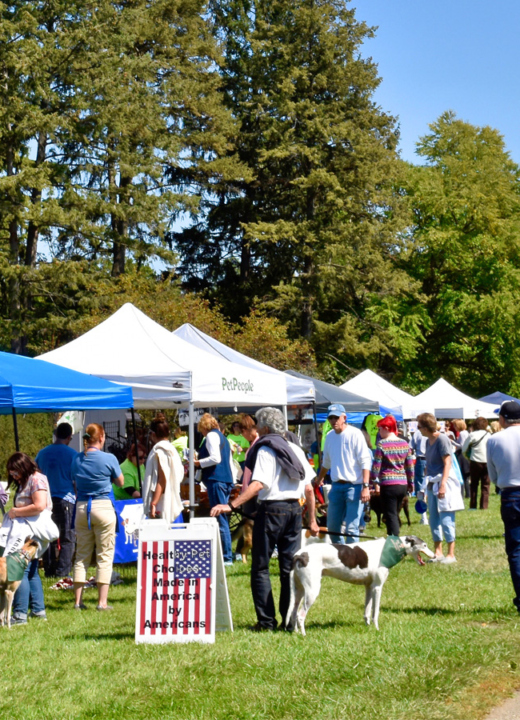 Guests with their dogs enjoy vendors at the Tails on the Trails event