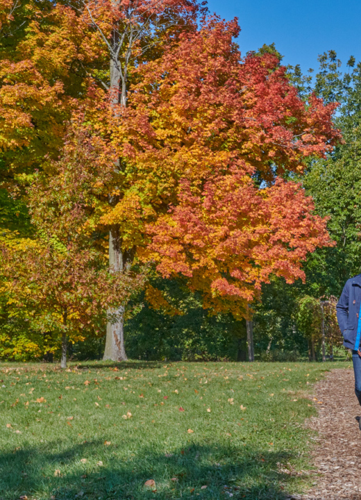 A couple hold hands and hike along a chipped trail through trees bursting with vibrant oranges and yellows in fall