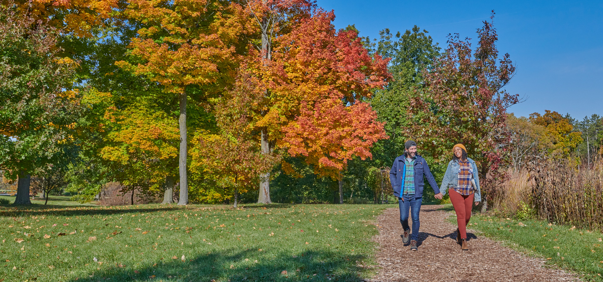 Fall Color Festival The Morton Arboretum