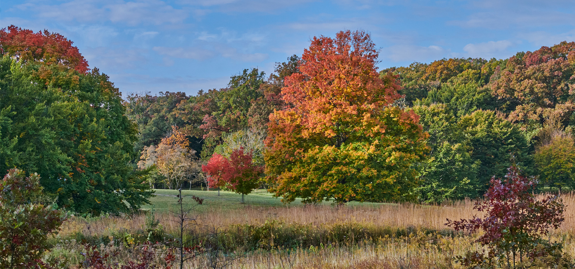 Join And Support The Morton Arboretum